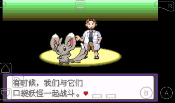 口袋妖怪 漆黑的魅影5.0EX＋DP