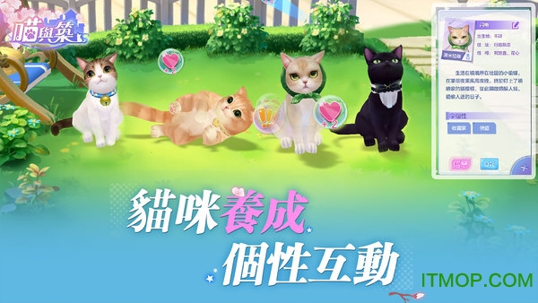 喵与筑