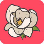 兰花