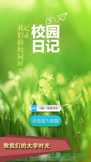 茶苑双扣 茶苑双扣