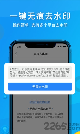 去水印管家