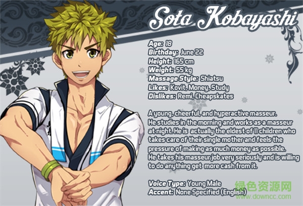 full service汉化apk