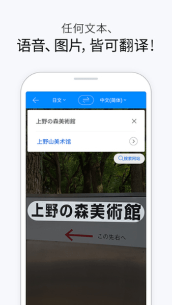 鹦鹉翻译器app