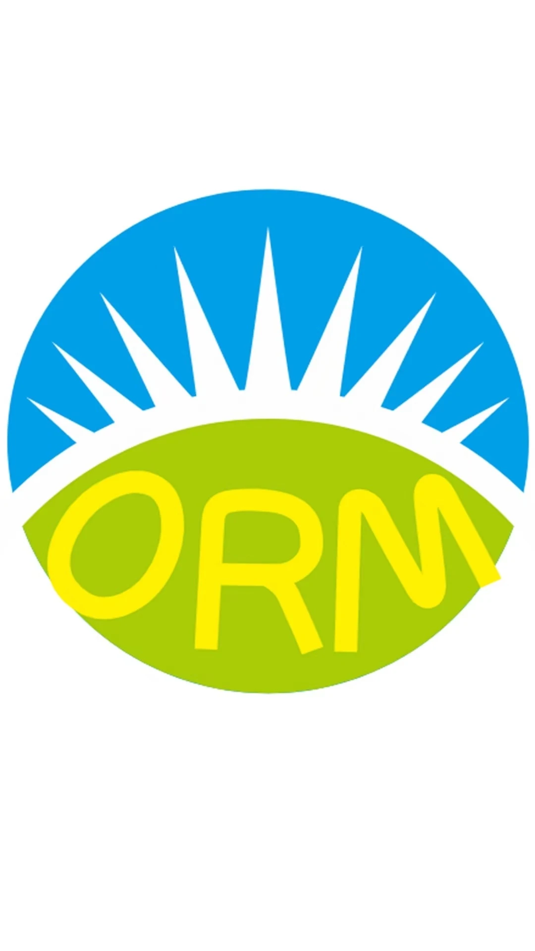 ORM照明智控