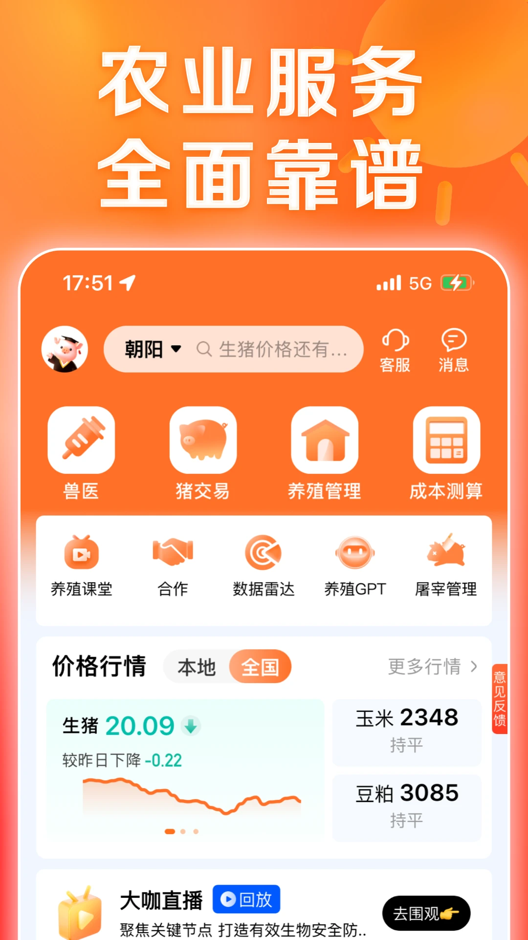 正大猪博士