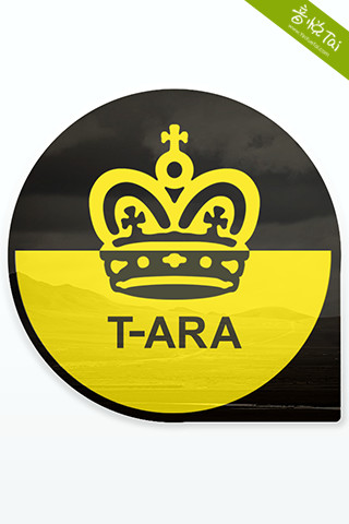 口袋·T-ara