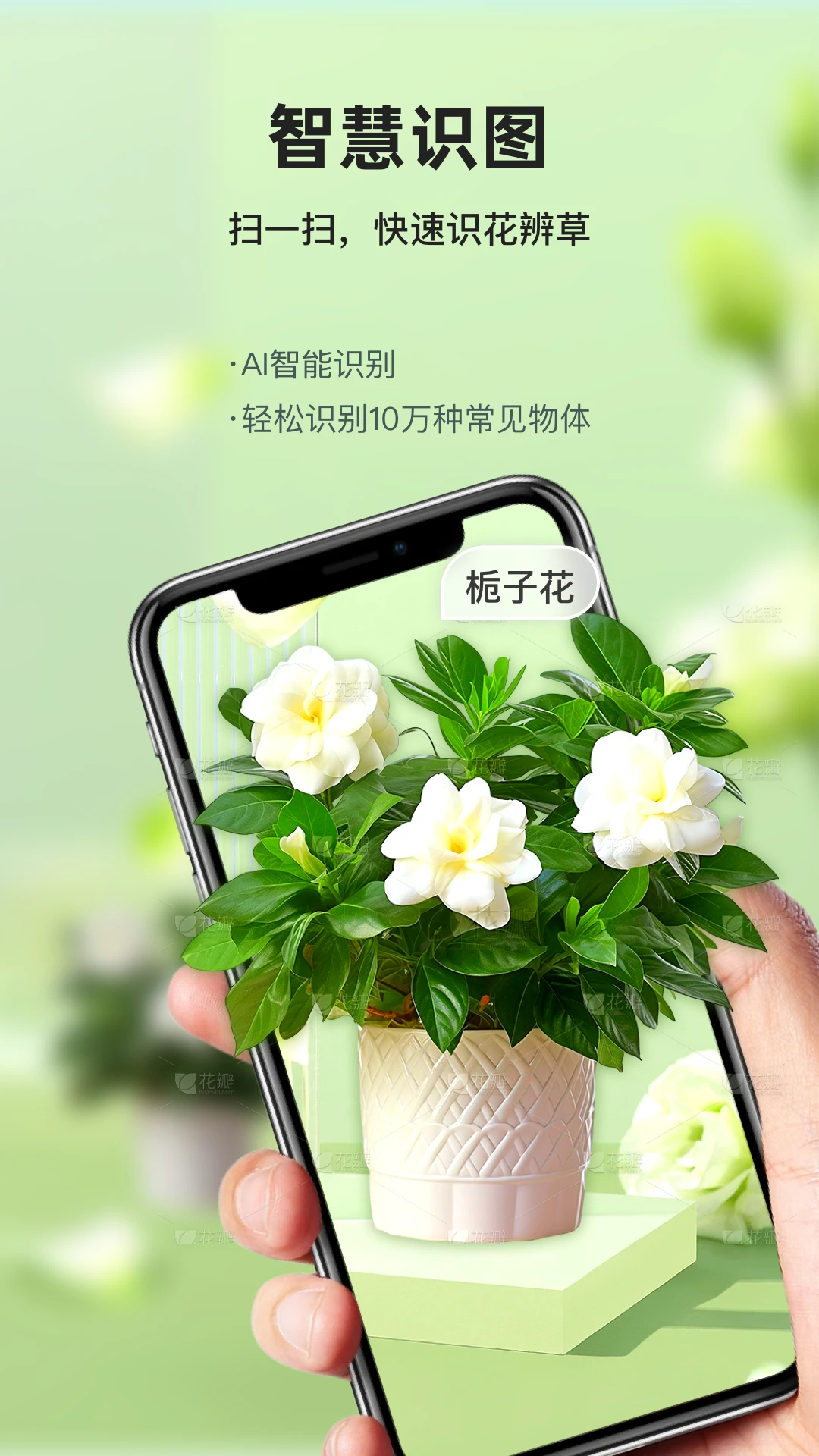 形色识花识草