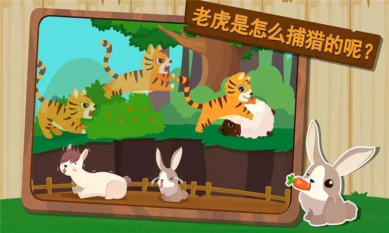 森林动物 森林动物