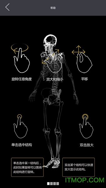 3dbody解剖苹果app 3dbody解剖苹果app