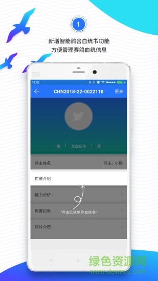 鸽羽林