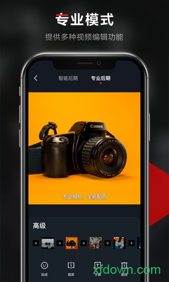京东视频