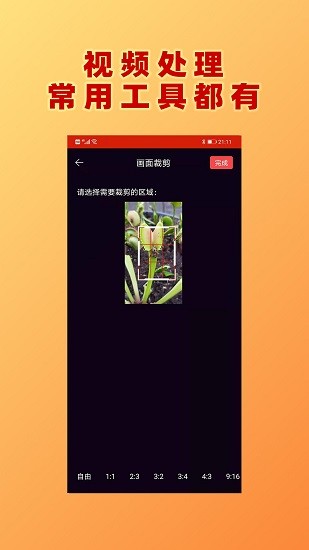 视频加文字 视频加文字
