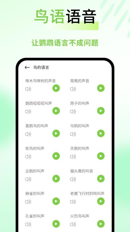 鹦鹉语言翻译器