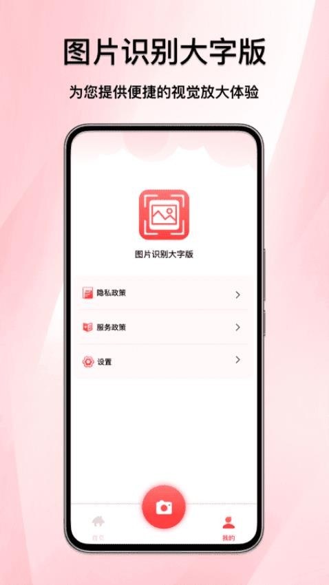 图片识别大字版