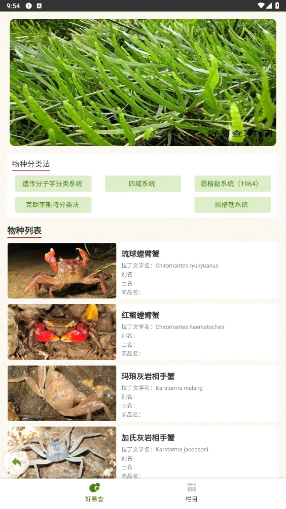 好易查