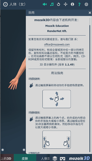 Human body (female)