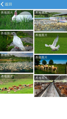 四川养殖网 四川养殖网
