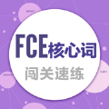 心核心