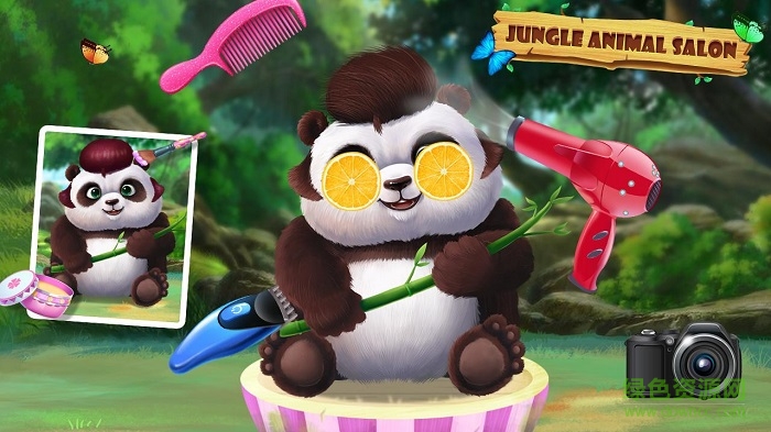 丛林动物沙龙(Jungle Animal Salon)