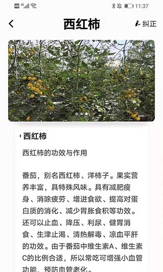 植物科普百科