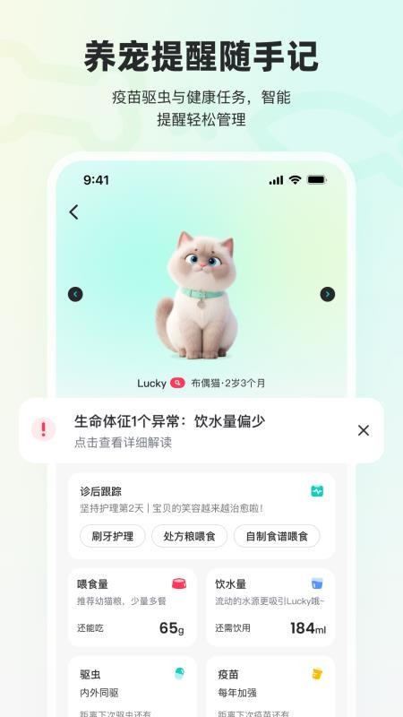 宠拍档