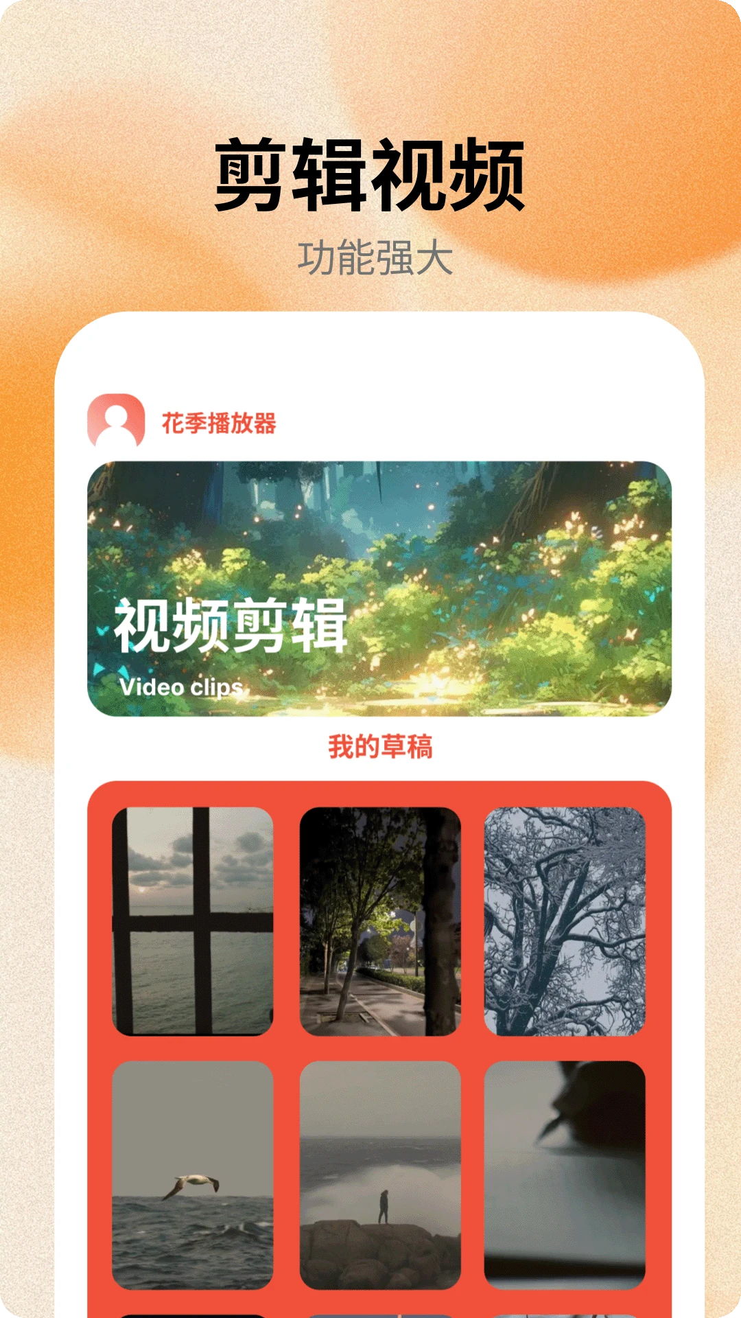 花季播放器