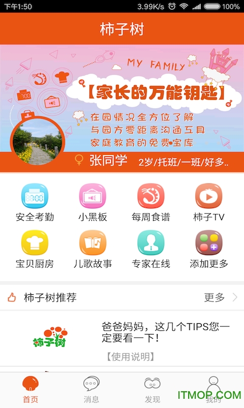 柿子树