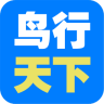 鸟行天下