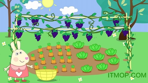 兔宝宝全国旅行 兔宝宝全国旅行