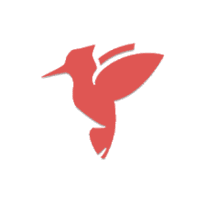 敲敲学英文