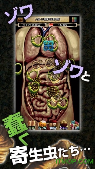 きせいちゅう