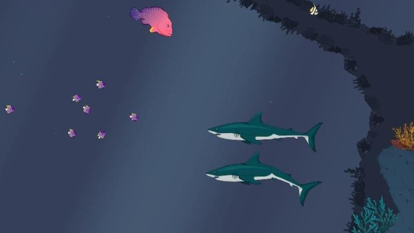 海洋大探险