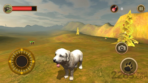 牧羊犬模拟器 牧羊犬模拟器