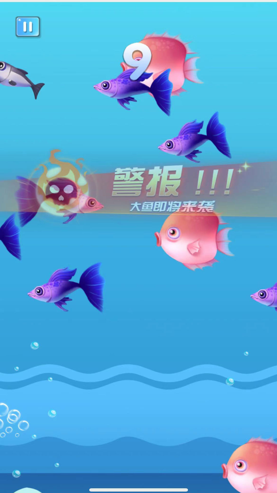 疯狂鱼宴大吃特吃