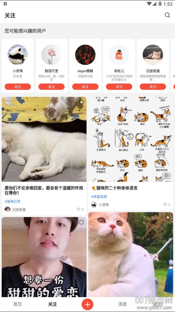 猫猫社