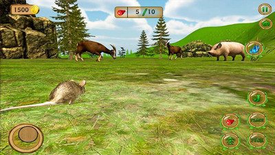 野生老鼠模拟器