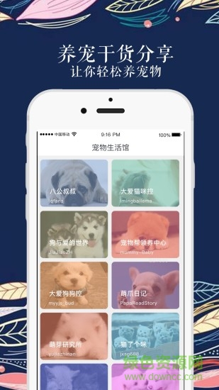 宠物生活馆 宠物生活馆
