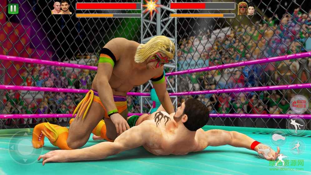Cage Wrestling
