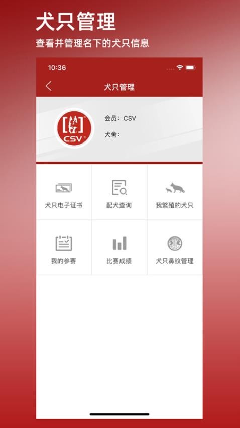 CSV官方版 CSV官方版