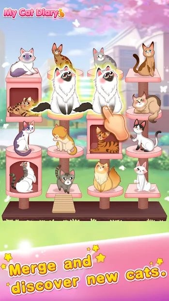 猫咪日记动漫公主换装游戏