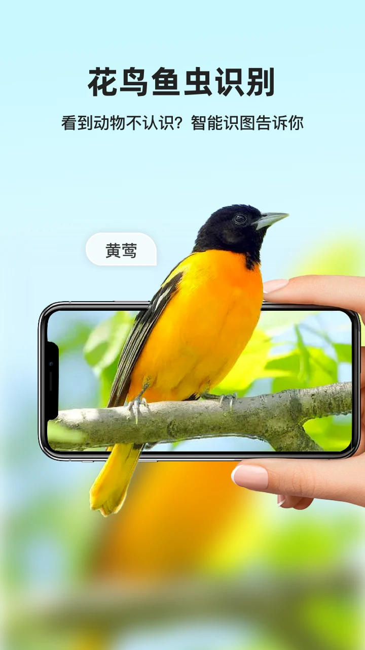 凤灵智能识图