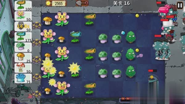植物的战争