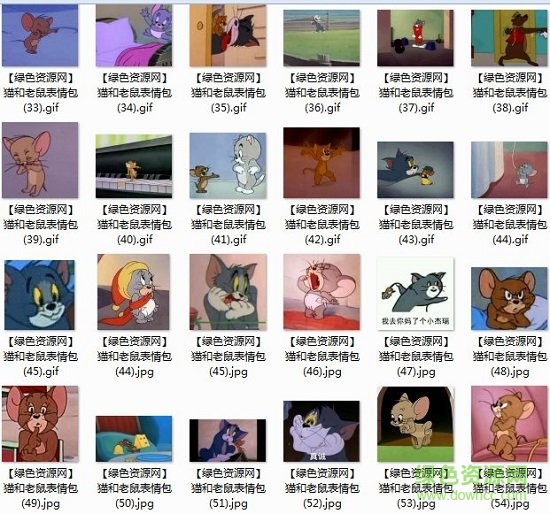 猫和老鼠 猫和老鼠