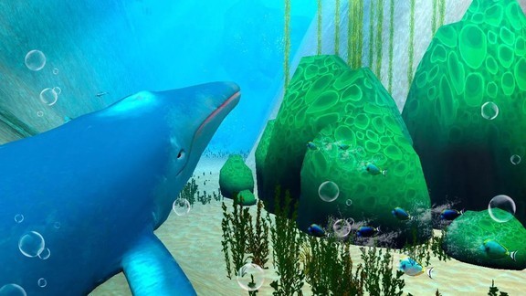 蓝鲸海洋生物模拟3D