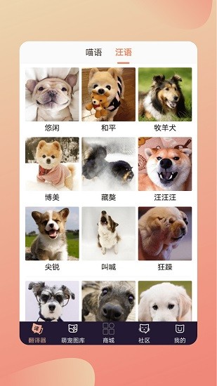 人猫交流翻译器