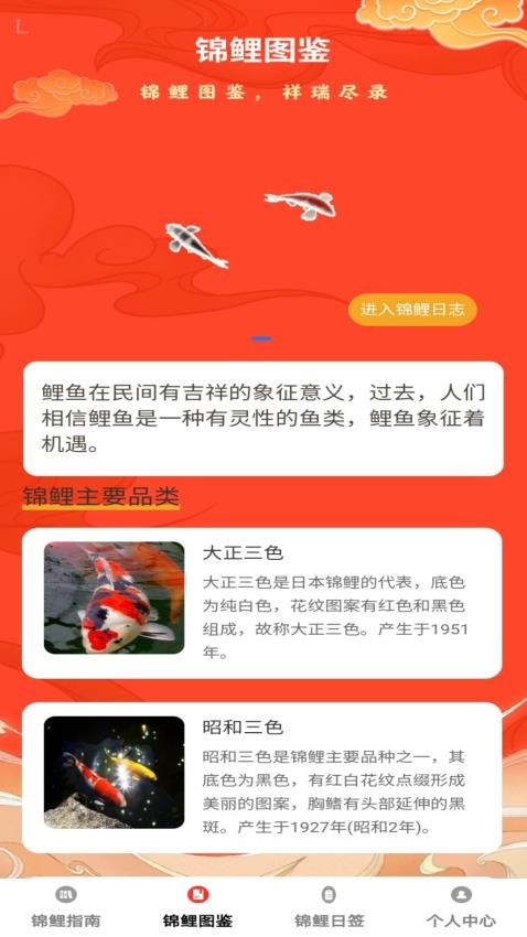 锦鲤呈祥