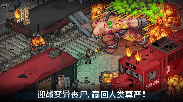 Fury Survivor: Pixel Z