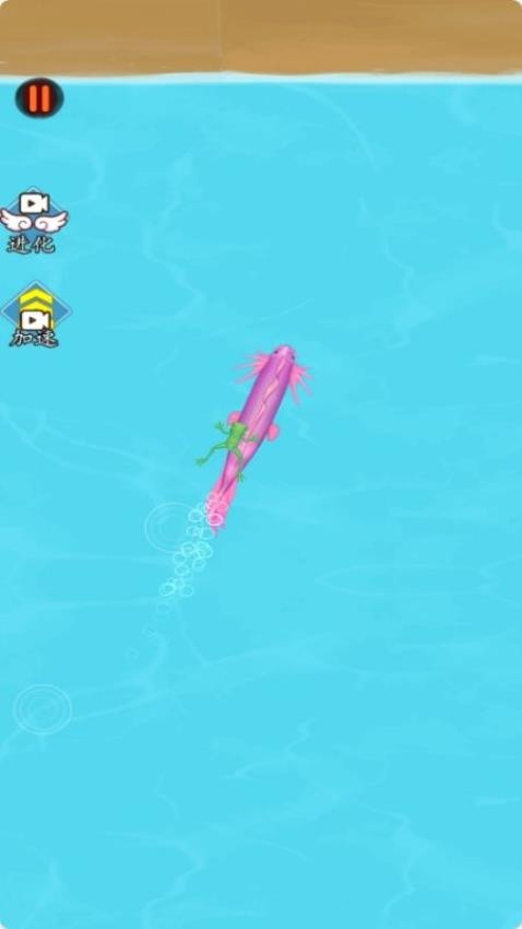 神龙奥利给 神龙奥利给