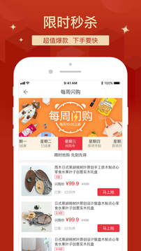 拍拍猫 拍拍猫