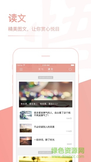 每日一悟